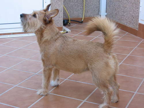 lissy1.jpg